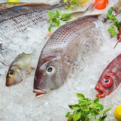 Риба та рибні продукти 